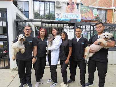 Clinica Veterinaria Calicanto