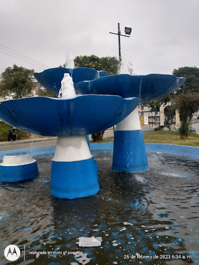 Los Hongos