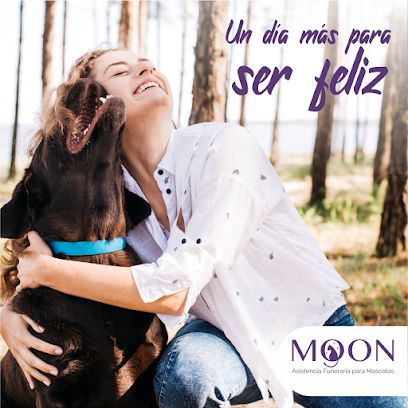 Moon Funeraria Para Mascotas Medellin