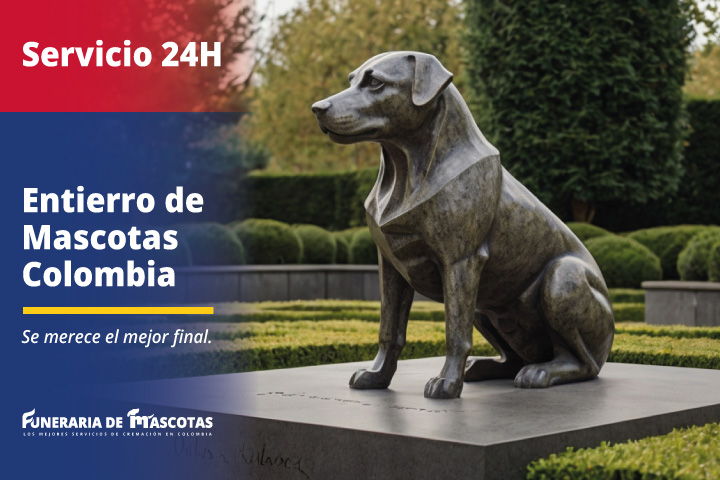 Servicio de Entierro de Mascotas Perros y Gatos 24 Horas en Colombia Funerariademascotas.com.co