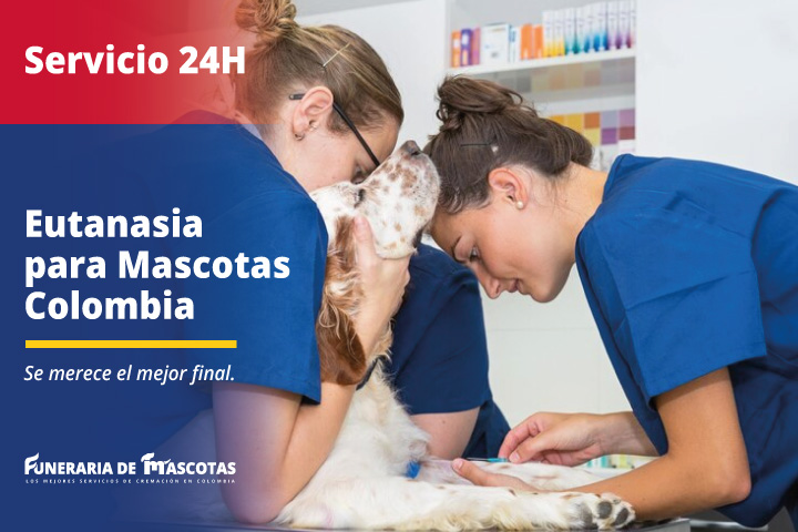Servicio de Eutanasia para Mascotas Perros y Gatos 24 Horas en Colombia Funerariademascotas.com.co
