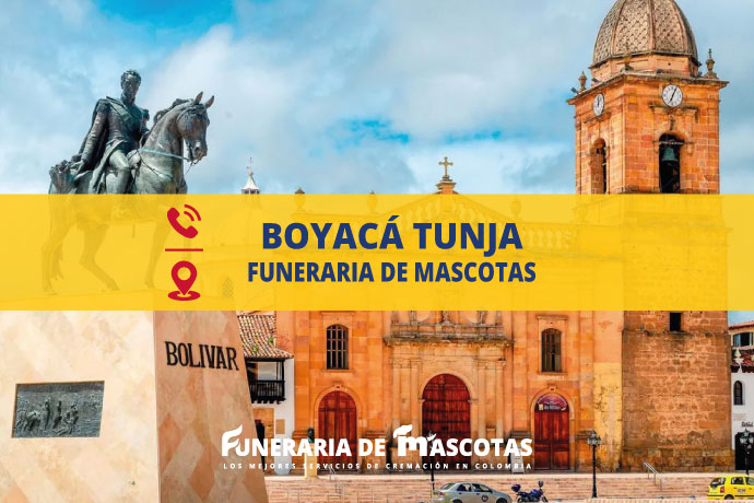 📞 Funeraria de mascotas en Boyacá Tunja funerariademascotas.com.co