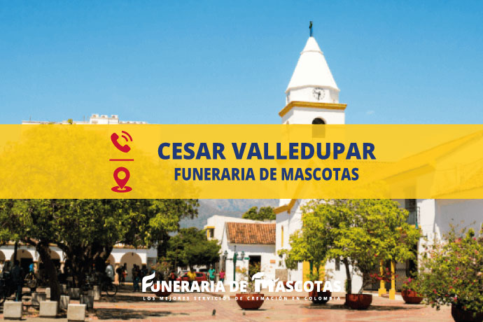 📞 Funeraria de mascotas en Cesar Valledupar funerariademascotas.com.co