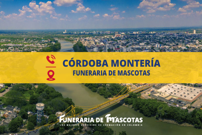 📞 Funeraria de mascotas en Córdoba Montería funerariademascotas.com.co