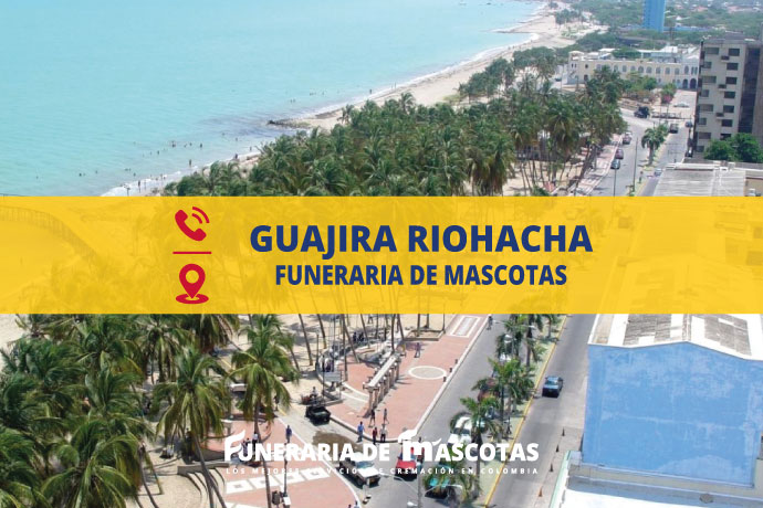 📞 Funeraria de mascotas en La Guajira Riohacha funerariademascotas.com.co