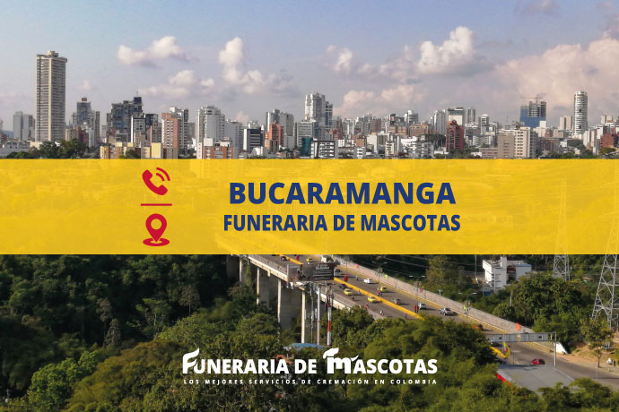 Funeraria de Mascotas en Bucaramanga Colombia funerariademascotas.com.co