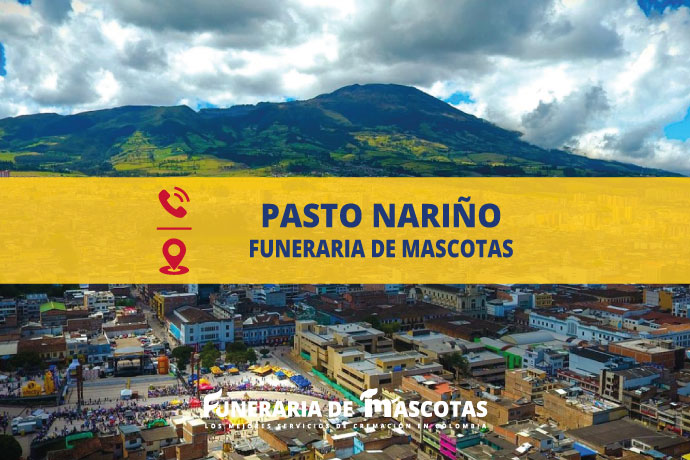 Funeraria de Mascotas en Pasto Nariño Colombia funerariademascotas.com.co